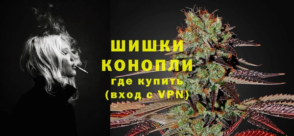 марки lsd Гусиноозёрск