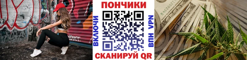 Каннабис индика  Новая Ладога 